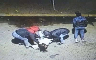 Cámaras de seguridad: aprehendieron a cinco jóvenes por asaltar con modo “piraña”