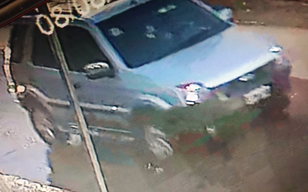 Capturaron a integrantes de un grupo delictivo