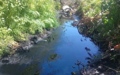 Inspeccionan una fábrica por el vuelco a un arroyo y de  agua negra y los análisis de laboratorio dieron negativos