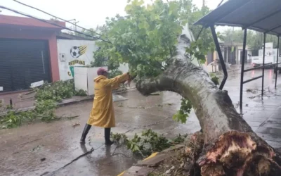 36 mil usuarios  de Edesur fueron  afectados, en 46 barrios, por el temporal en Florencio Varela