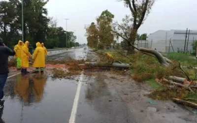 El temporal provocó destrozos y  afectó a 48 municipios bonaerenses
