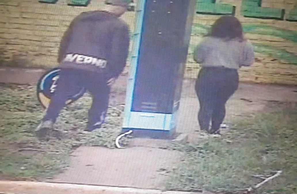 Aprehendidos  por vandalismo