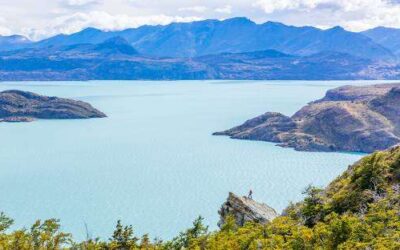 Confirmado: Milei y su  primer triunfo en el gobierno: ¡Sesenta mil hectáreas de tierras vírgenes de La Patagonia a manos Chilenas!