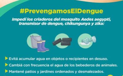 ¿Cómo combatir al dengue?