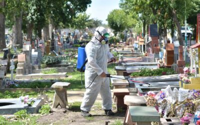 Mosquitos: Las tareas de fumigación llegaron al cementerio