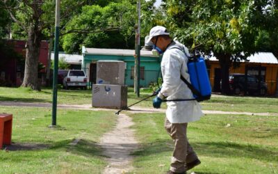 Mosquitos: El Municipio fumiga y los reclamos se multiplican