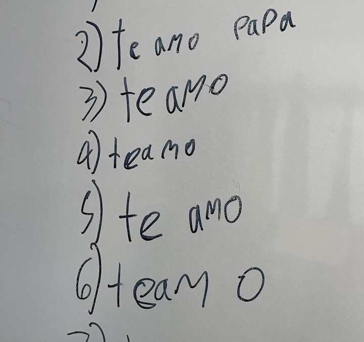 FOTO DEL DIA