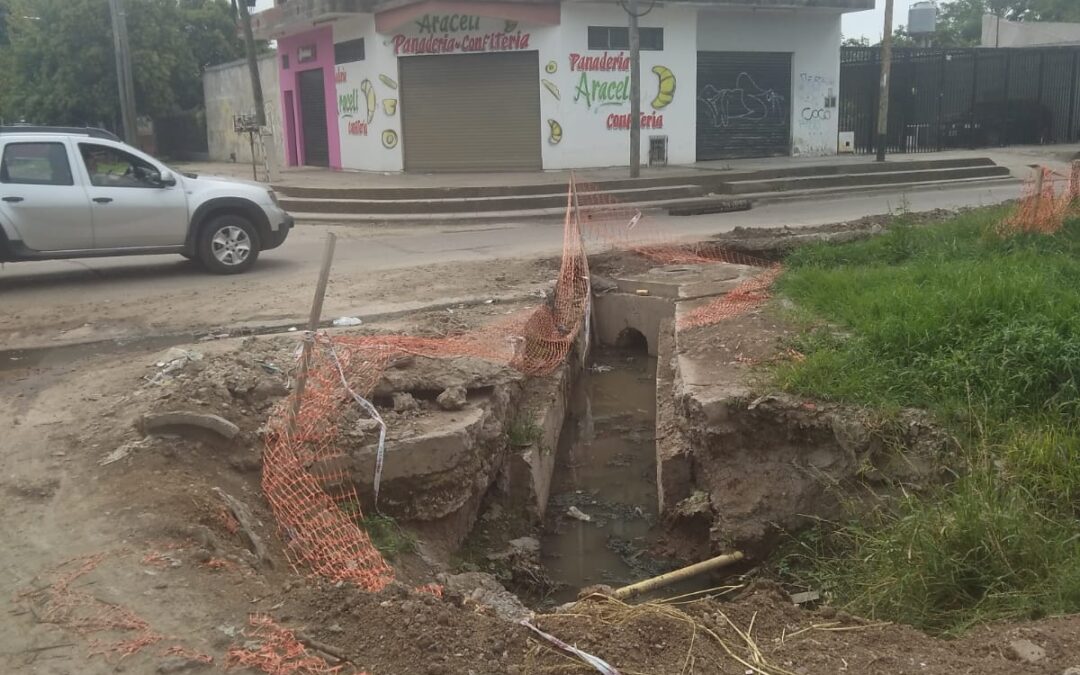 FOTO DEL DIA