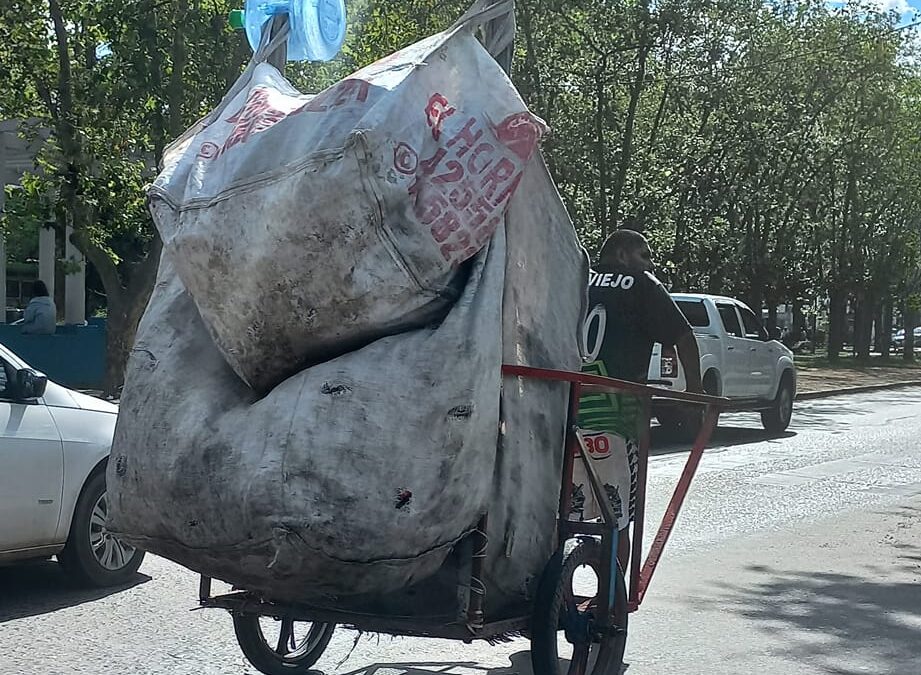 FOTO DEL DIA