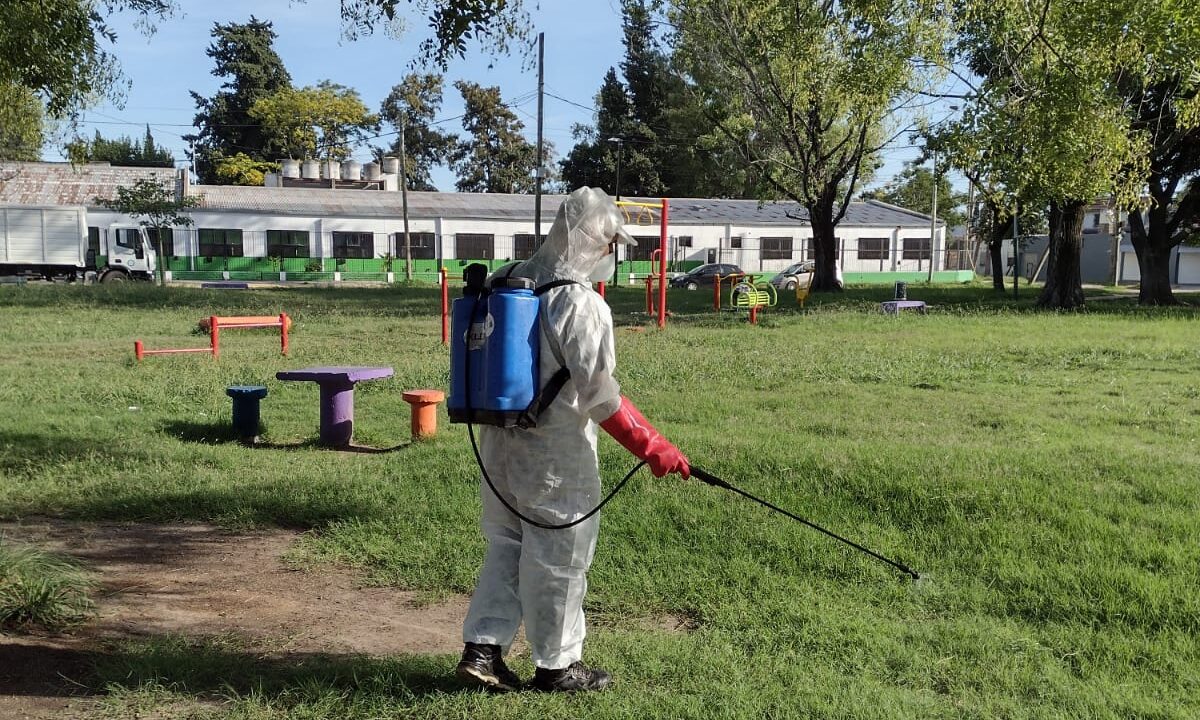 Trabajos de fumigación, descacharrización y desmalezado - El Diario ...