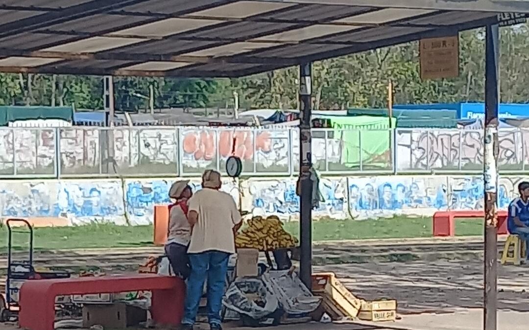 FOTO DEL DIA
