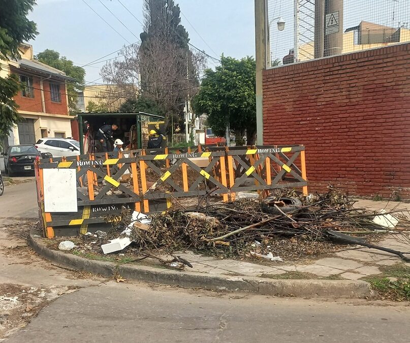 FOTO DEL DIA