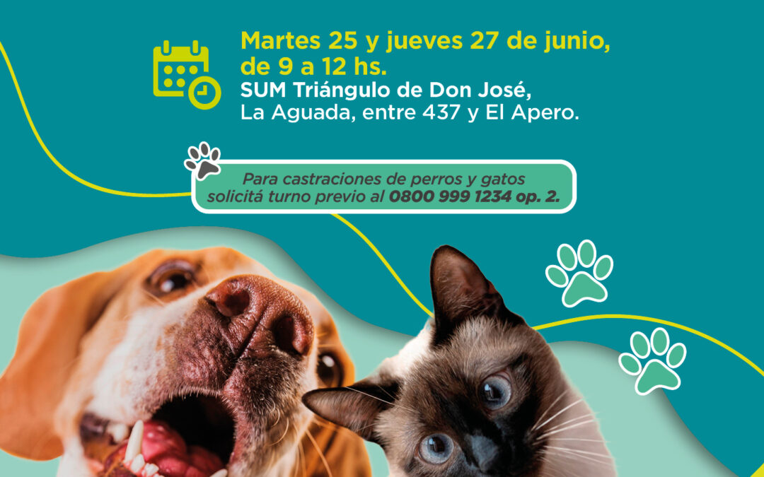 Jornadas de asesoramiento integral y comercialización de producción local en barrios varelenses