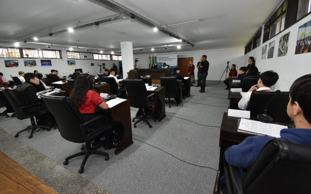 Con un Proyecto  de Comunicación piden debatir en el Concejo Deliberante la creciente ola  de inseguridad