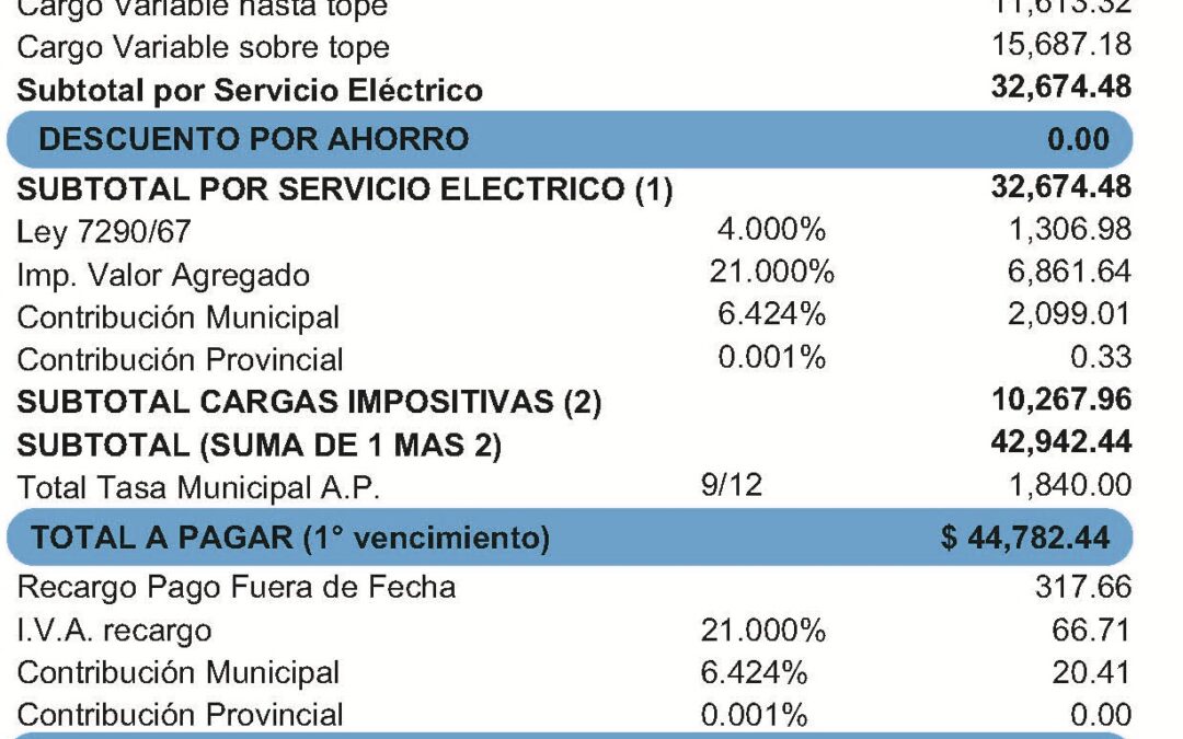 Un juez frenó interinamente la orden de Economía y habilitó  a un municipio a cobrar sus tasas en la boleta de los servicios