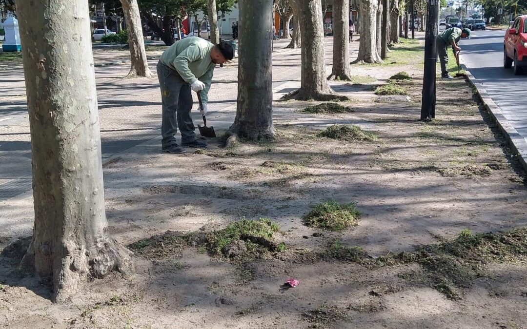 Renuevan la Plaza San Juan Bautista de Florencio Varela