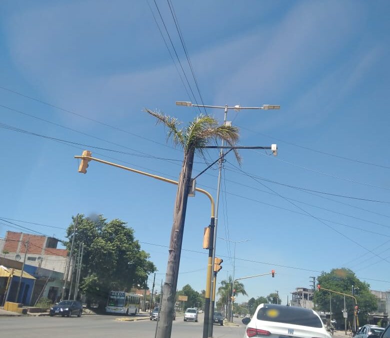 FOTO DEL DIA
