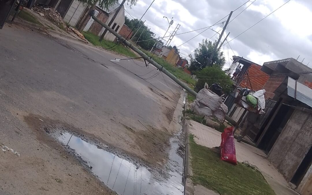 FOTO DEL DIA
