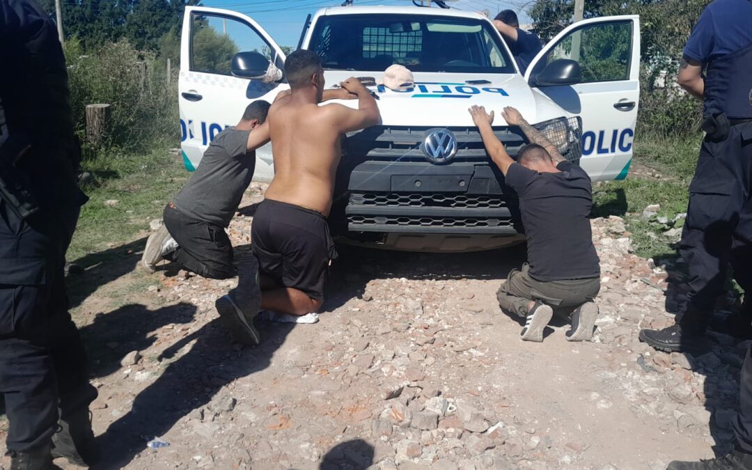 FOTO DEL DIA