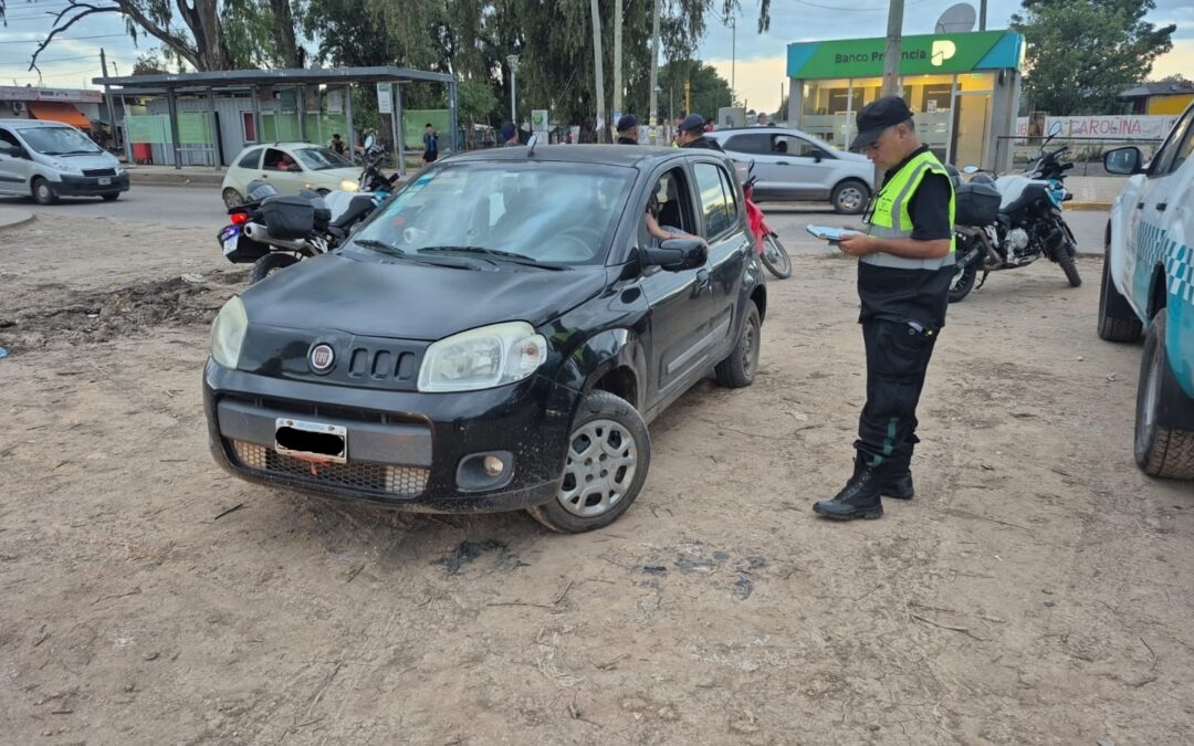 FOTO DEL DIA