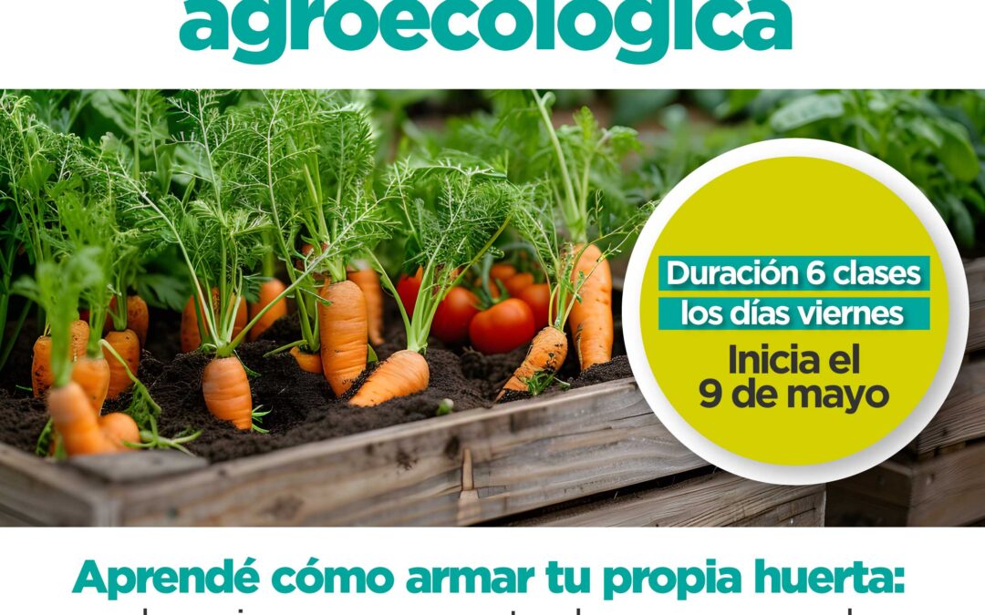 En el Concejo Deliberante dictarán talleres de cultivo