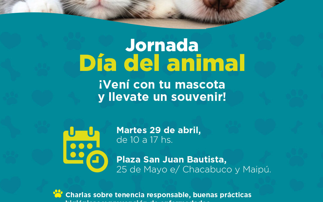 Jornada gratuita para mascotas en la plaza San Juan Bautista