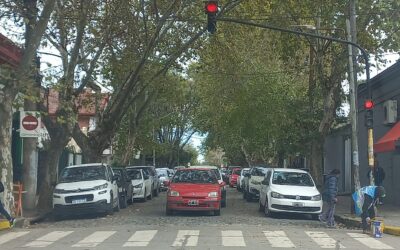 FOTO DEL DIA