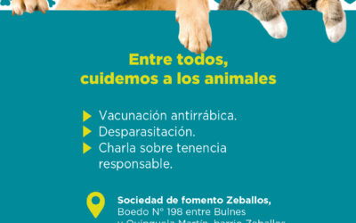 Atención veterinaria gratuita en Zeballos