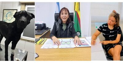 La batalla por Chimuelo: «El municipio varelense respeta  los derechos de los animales y no tiene nada que ocultar»