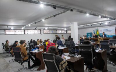 Se llevó a cabo la séptima Sesión Ordinaria del HCD con  homenajes y críticas a decisiones del gobierno nacional