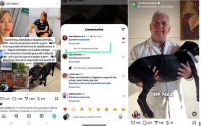 Proteccionista denunció a secretaria de Zoonosis por dejar morir a un perro