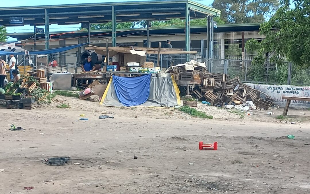 Estación Dante Ardigó: El retroceso que nadie observa