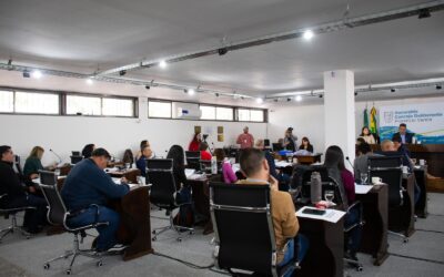 El Concejo Deliberante autorizó el llamado a licitación por el servicio de recolección de residuos en Varela