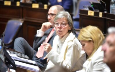 Diputados bonaerenses alertan por los tarifazos de luz y transporte