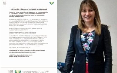 “No estamos otorgando la libertad de cobrar las tasas municipales a una empresa, como se dijo”