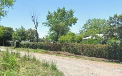 Dos ladrones mataron al quintero Roberto Higa para robarle el celular