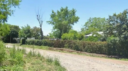 Dos ladrones mataron al quintero Roberto Higa para robarle el celular