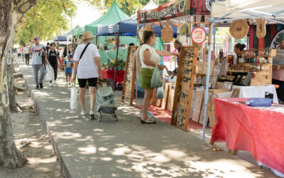 Proyectos varelenses autogestivos con precios accesibles