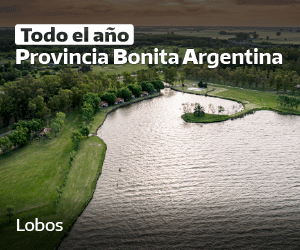 PBA_Banner_web_lobos-300×250