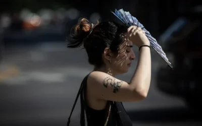 Se viene una ola de calor en la provincia y crece el riesgo de incendios