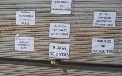 Alarma en Villa Vatteone por la casa de las ratas