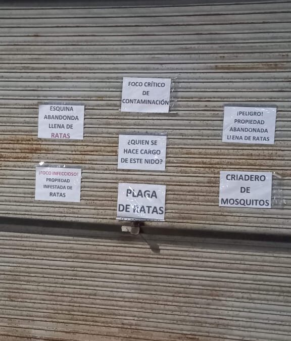 Alarma en Villa Vatteone por la casa de las ratas