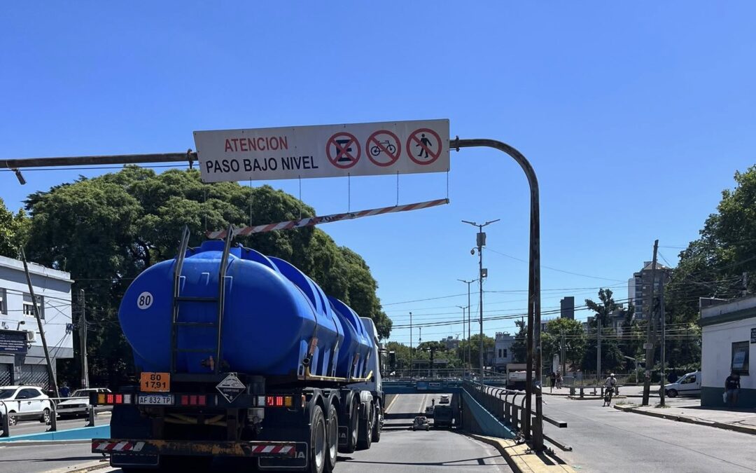 FOTO DEL DIA