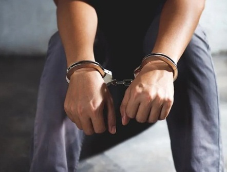 capture-20260209-001158-crop