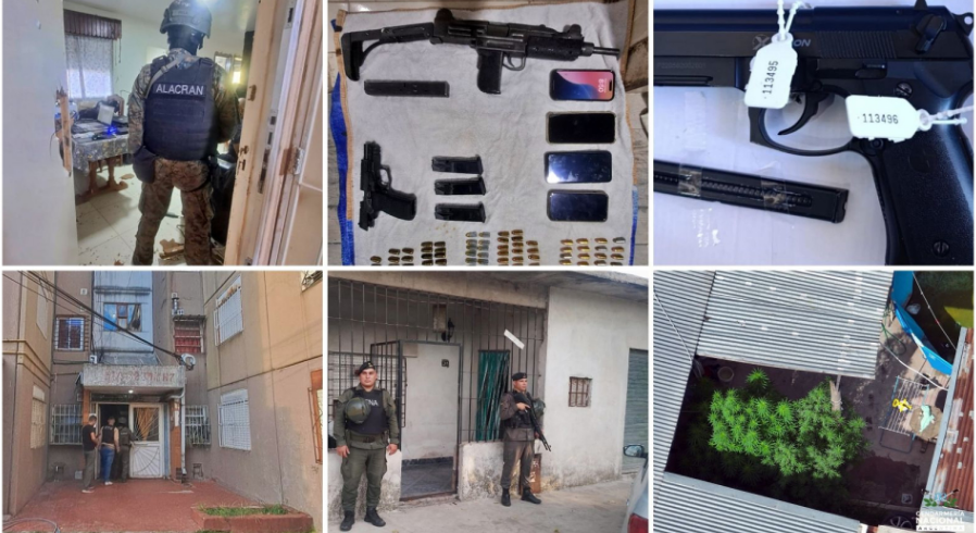 capture-20260223-012724-crop