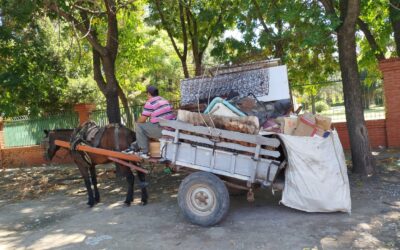 Ordenanza de 2023 prohíbe la tracción a sangre: No está en vigencia por falta de Reglamentación