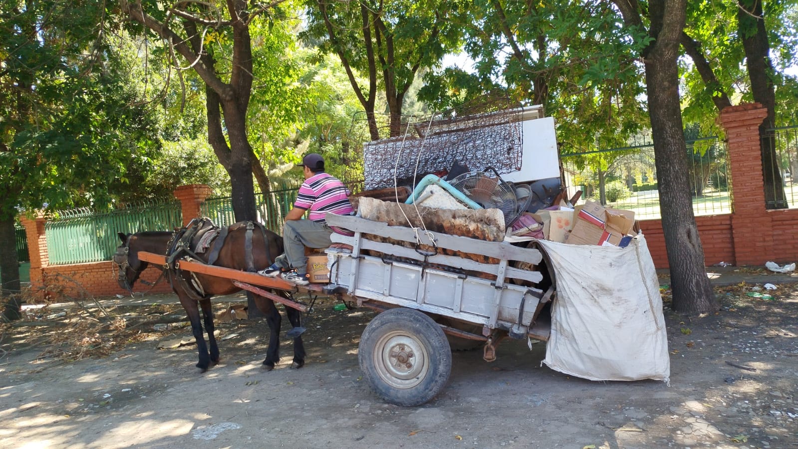 230e9d98-3d5d-4429-8360-9ec5cdde97f5