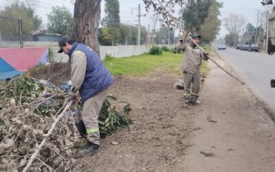 Labores municipales en distintos barrios