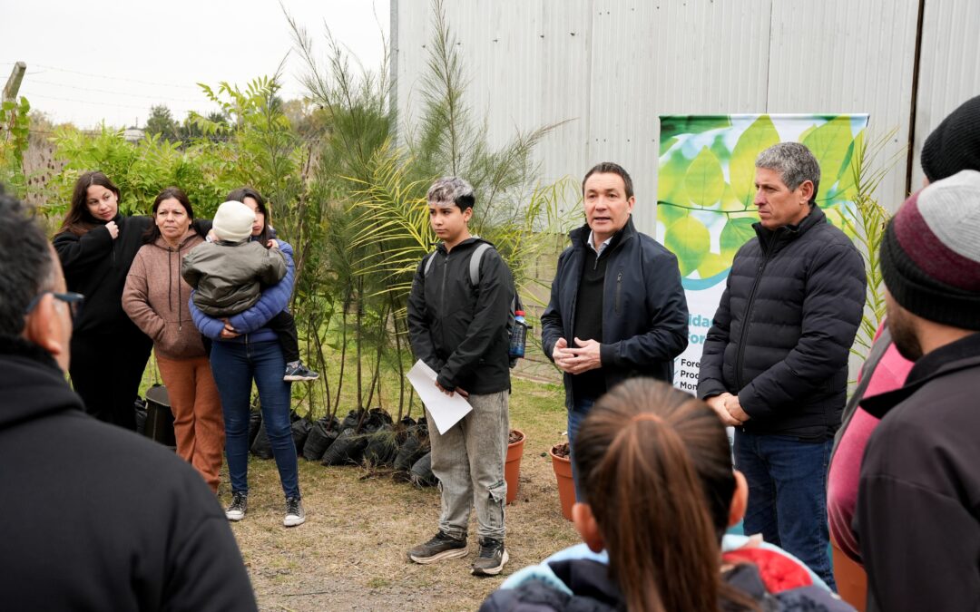 Expansión del parque arbóreo