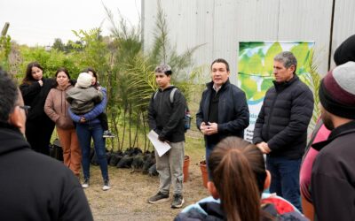Expansión del parque arbóreo